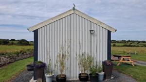 a white building with a cross on the top with potted plants at Tiny living on the Wild Atlantic Way in Tralee