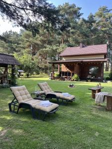 a group of chairs sitting on the grass in a yard at Holiday Homes Eliza in Druskininkai