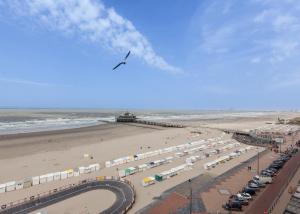 a bird flying over a beach with a pier at Hotel Riant-Séjour by WP Hotels in Blankenberge