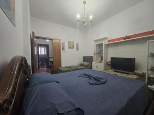 a bedroom with a blue bed and a television at Evelin Apartment Berat in Berat