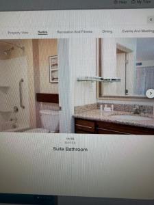 a picture of a bathroom with a sink and a mirror at Residence Inn in Maumee