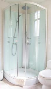a glass shower in a bathroom with a toilet at Spa Pirque & Hotel in Pirque +5 photos