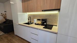 a kitchen with a sink and a counter top at Apartamente Nefeli in Curtea de Argeş