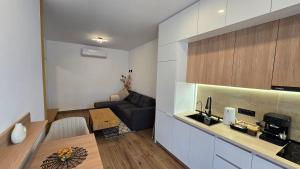 a kitchen and a living room with a couch at Apartamente Nefeli in Curtea de Argeş +10 photos