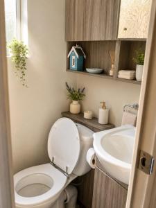 a bathroom with a toilet and a sink at Pine & Tide Escape 219 Parkdean White Acres Newquay in Saint Columb Road Station