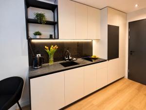 a kitchen with white cabinets and a sink at Poznań Plac Wolności 6 Bond in Poznań