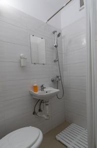 a bathroom with a sink and a toilet and a mirror at Casa Haralambie in Greci +36 photos