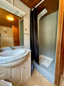 a bathroom with a sink and a shower at Appartement L'argentiere la bessée in LʼArgentière-la-Bessée