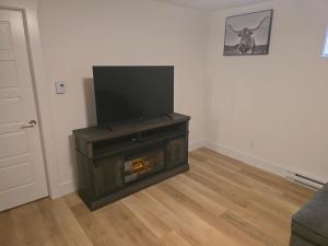 a living room with a fireplace and a flat screen tv at TeeBams's Comfy Home in Riverview +6 photos