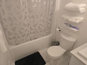 a bathroom with a shower curtain and a toilet at TeeBams's Comfy Home in Riverview