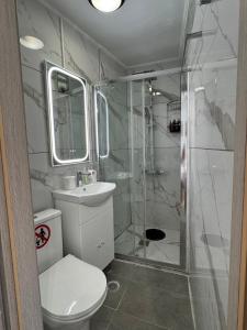 a bathroom with a shower and a toilet and a sink at Modern studio in Athens +11 photos