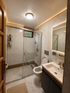 a bathroom with a shower and a toilet and a sink at Beş Evler Apart in Uzungöl +20 photos