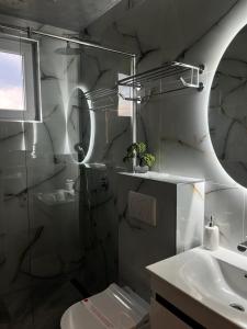 a bathroom with a shower and a toilet and a sink at Ambasada Rooms in Sarajevo