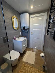 a bathroom with a toilet and a sink and a mirror at Nowa Pasłęka - Domki Passarge in Braniewo