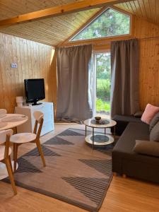 a living room with a couch and a tv at Nowa Pasłęka - Domki Passarge in Braniewo