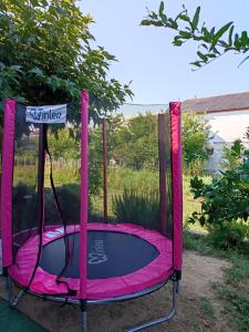 alatable trampoline in a yard at Apartmani Danijela Lopar in Lopar