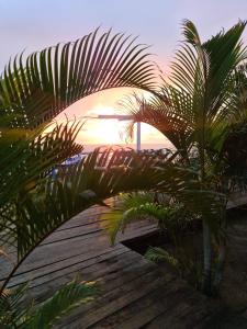 a palm tree sitting on a wooden deck with the sunset at BEAUSÉJOUR Plage in Kribi
