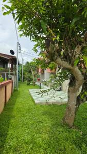 a tree in the grass next to a building at บ้านสวนแม่จันทร์เพ็ญ in Chiang Dao