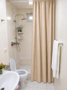 a bathroom with a shower curtain and a toilet at Guest House in Sanahin in Sanain