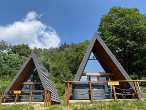 two triangular roofs of a cabin in the woods at A-Frame The Wolf Transfăgărășan in Căpăţîneni-Ungureni