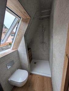 a small bathroom with a toilet and a shower at Haus Anni in Ebermannstadt