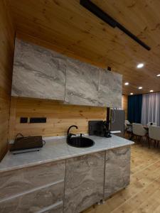 a kitchen counter with a sink in a room at Villa cottage D3 in Zeda Ulianovka