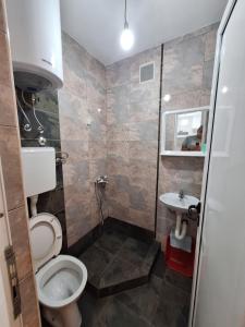 a small bathroom with a toilet and a sink at Apartmani Miladinović in Sutomore +44 photos