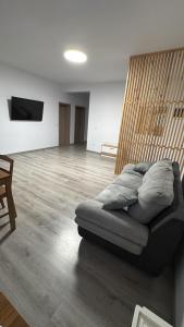 a couch sitting in a living room at Luca House in Remetea Mare