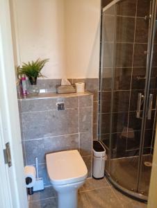 a bathroom with a toilet and a shower at Precise Homes in Wolverhampton +1 photo