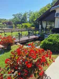a garden with red flowers and a wooden bridge at Neon2 - Vendégház in Orosháza