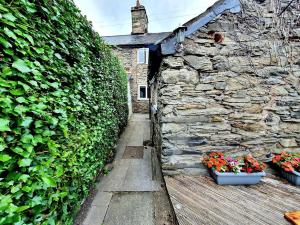 a stone wall with two plants and some flowers at Cosy Bala House in Bala
