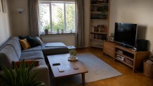 a living room with a couch and a tv at Dream Stay in Schwanewede