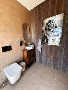 a bathroom with a toilet and a sink at Z Nurtem Rzeki Domy z basenem Podlasie in Korycin +43 photos