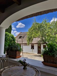 a view from the porch of the house at Zora Vendégház in Tihany