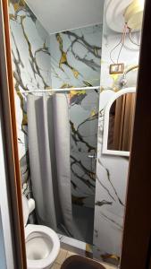 a bathroom with a toilet and a shower at ApartHotel Fahria Velipoje in Velipojë +16 photos