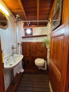 a bathroom with a toilet and a sink at Argovia Dutch Barge in Brightlingsea