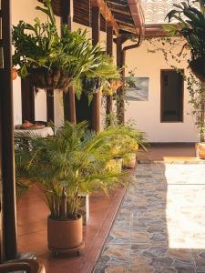 a courtyard with potted plants in a building at La Casona Santa Fe in Santa Fe de Antioquia