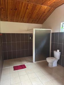 a bathroom with a toilet and a sliding door at Studio indépendant in Otutara