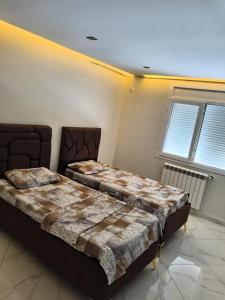 two beds in a room with two windows at Nassim19 in Sétif