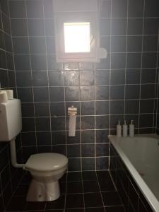 a bathroom with a toilet and a window and a tub at Studio apartman Delic in Podgorica