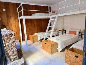 a room with two bunk beds and a ladder at Clivias Hostel in Salta
