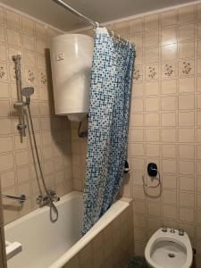 ein Badezimmer mit Duschvorhang und Toilette in der Unterkunft Nona Katica in Boljun