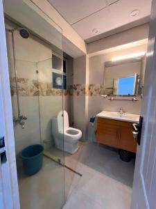 a bathroom with a toilet and a sink and a mirror at Pine Cottage in Murree