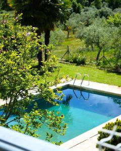a swimming pool in the middle of a garden at Vivenda Varandas in Lagoaça
