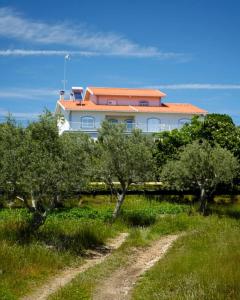 a building in the middle of a field with trees at Vivenda Varandas in Lagoaça
