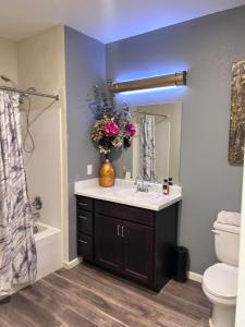 a bathroom with a sink and a toilet and a mirror at Union at the loop in Lawrence +5 photos