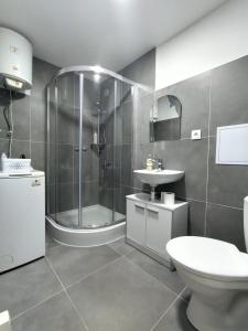 a bathroom with a shower and a toilet and a sink at Studio11 in Medzilaborce