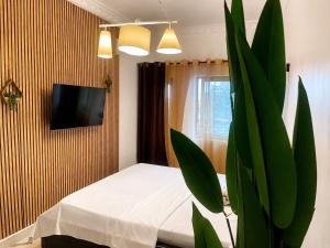 a bedroom with a bed and a tv and a plant at Kaz An Nou in Cotonou