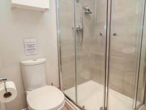a bathroom with a shower and a toilet at The Cider Press, Motcombe, Shaftesbury in Motcombe +6 photos