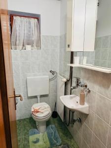 a small bathroom with a toilet and a sink at Kuća za odmor MEDUNIĆ in Gospić +12 photos